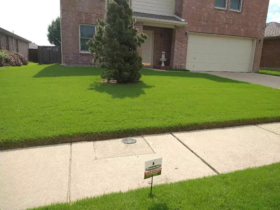 lots of houses with green lawns and walkways