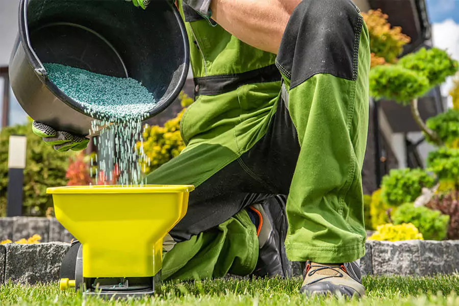 A fertilization expert working in a landscape with the fertilizer
