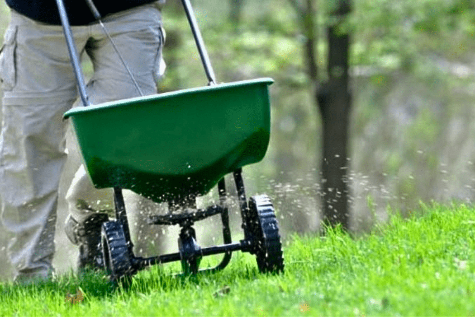 Best Month For Lawn Fertilizer In Plano, TX: Complete Guide