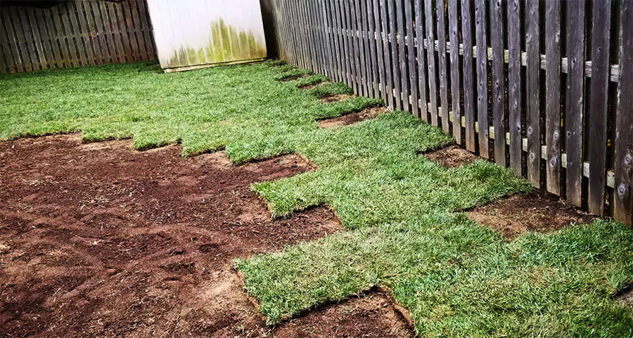 Why Plano, TX Residents Choose Professional Sod Installation Service