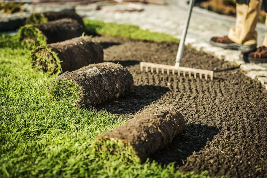 Professional sod installation in progress with fresh grass rolls being laid on prepared soil in Plano, TX, showcasing expert lawn care over DIY methods.