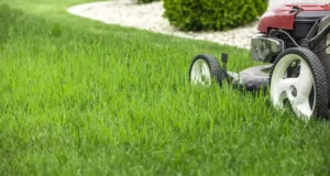 Lawn mower cutting lush green grass, highlighting proper mowing techniques to avoid common lawn care mistakes during spring in Prosper.
