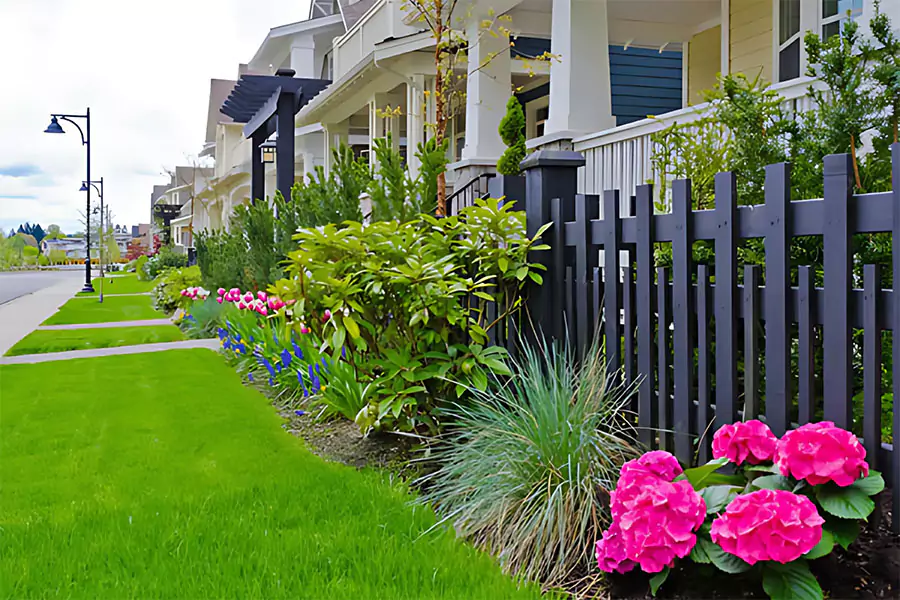 Beautifully landscaped front yard with vibrant hydrangeas and lush green grass along a suburban street in McKinney, TX, showcasing expert landscaping design