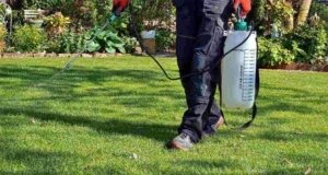 Lawn care professional applying liquid weed control treatment with handheld sprayer on residential grass