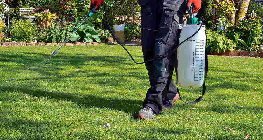 Lawn care professional applying liquid weed control treatment with handheld sprayer on residential grass