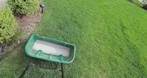 Broadcast spreader applying lawn fertilizer during routine fertilization service in Plano, TX
