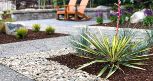 Modern drought-tolerant landscape design with decorative gravel, mulch, and low-maintenance plants in McKinney, TX
