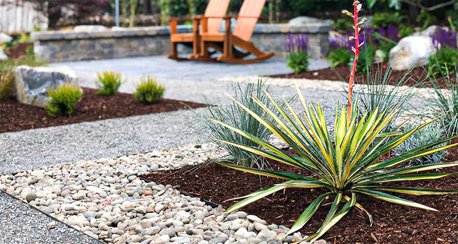 Modern drought-tolerant landscape design with decorative gravel, mulch, and low-maintenance plants in McKinney, TX