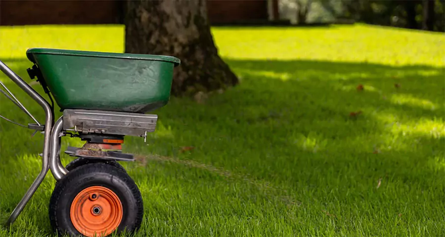 Lawn fertilizer spreader treating green grass under tree shade in Plano, TX for summer lawn care.