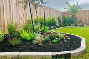 Backyard landscaping with stone border edging, fresh mulch, ornamental grasses, and colorful plants in Prosper, TX residential lawn design.