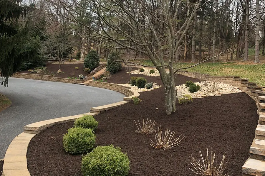 Freshly mulched landscape bed with neatly trimmed shrubs and a mature tree, bordered by a curved stone retaining wall and steps along a paved driveway.