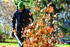 Worker using a leaf blower to clear fallen autumn leaves from a lawn.