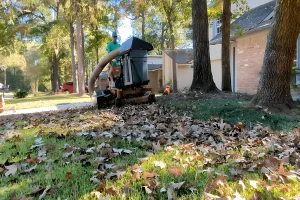 A worker is using professional equipment to vacuum and remove fallen leaves from a residential lawn. The yard is being cleared of heavy leaf buildup during fall cleanup.