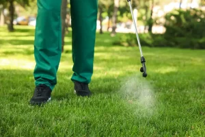 Technician applying pre-emergent weed control during professional lawn service in McKinney, TX to protect grass from early spring weed growth.