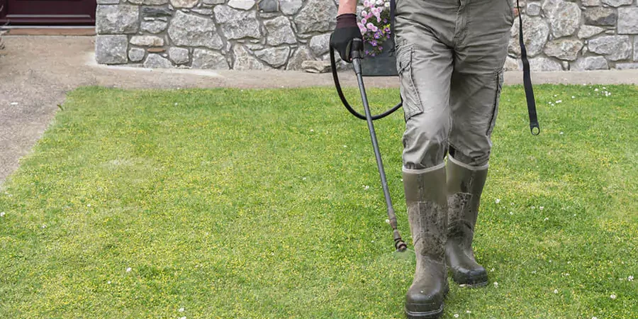 A man fertilizing the lawn