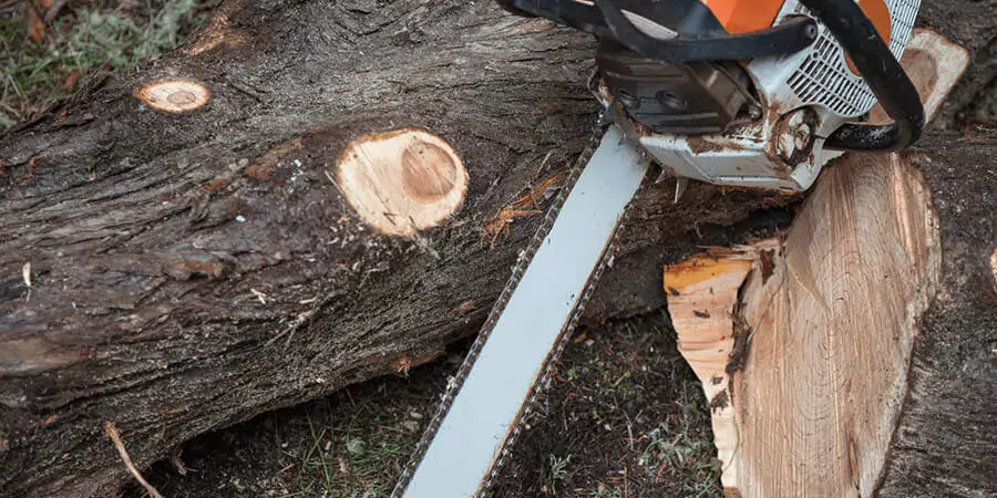 tree trimming machine