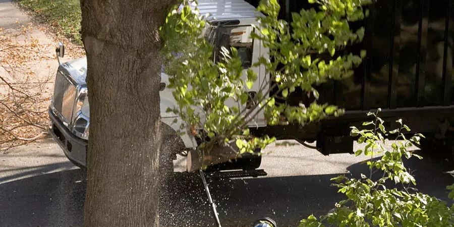 A man working on tree removal