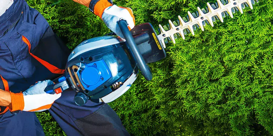 A man trimming the tree with a trim machine